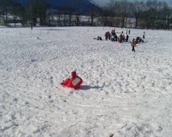 luge